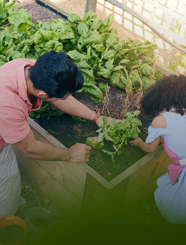 Roof Garden Waterproofing